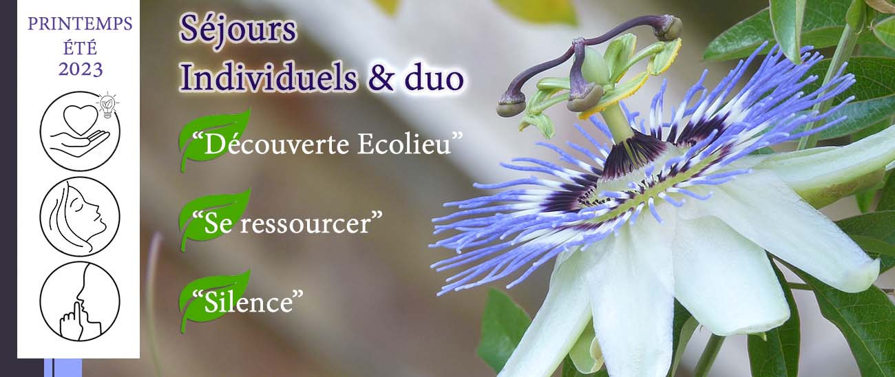 SBSejourIndividuel1300x700