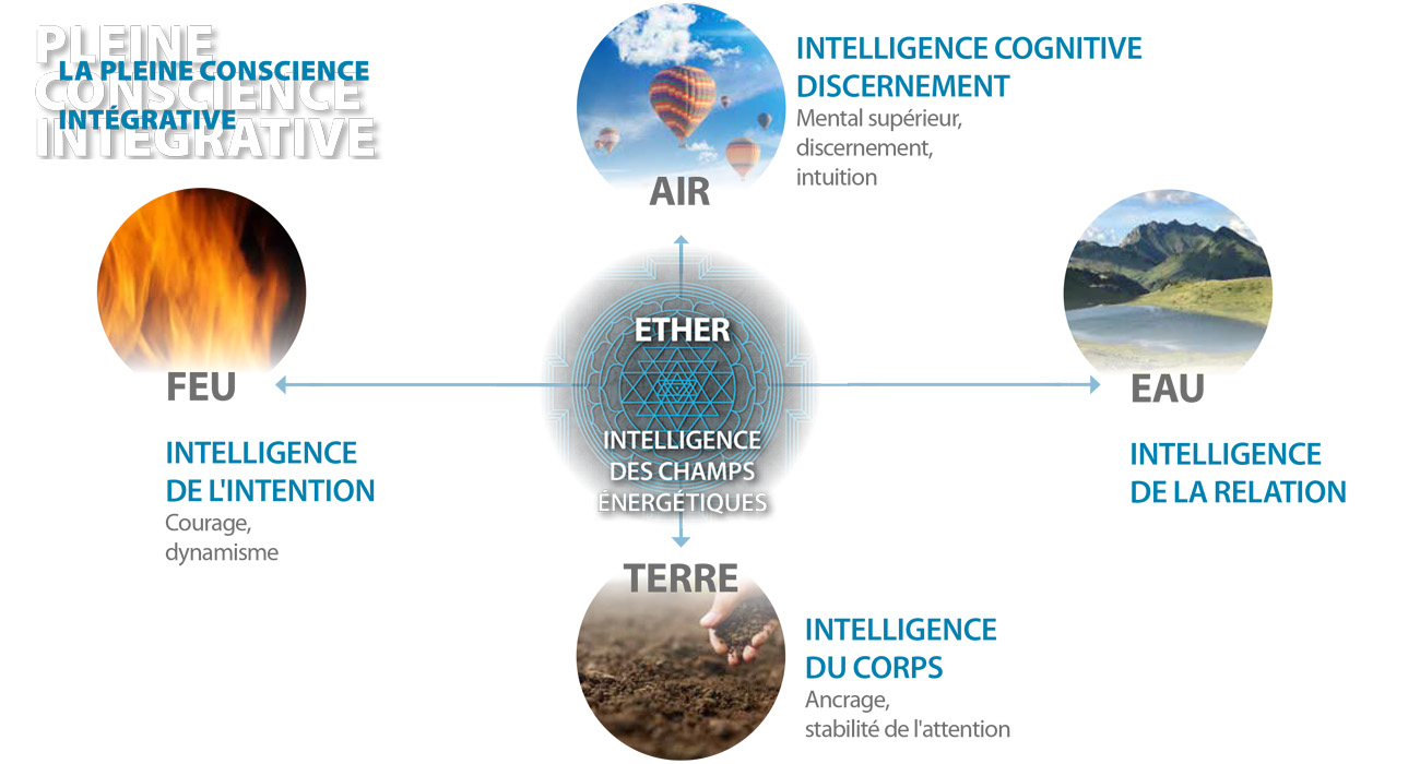 Pleine Conscience Intégrative : être en alliance avec les forces de la Nature
