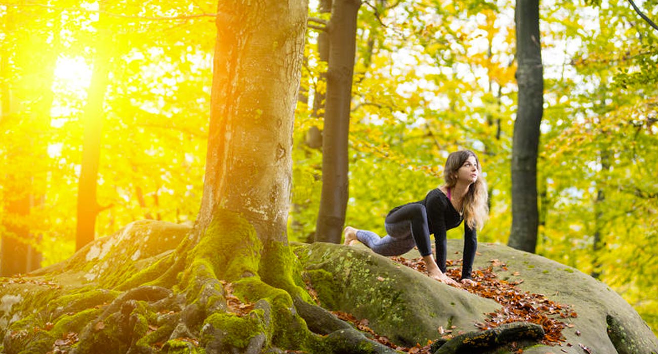 Yoga et Alimentation Vivante