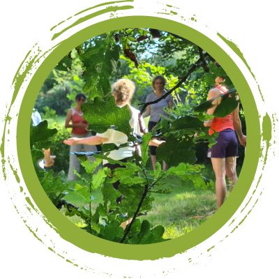 groupe de yoga dans la nature