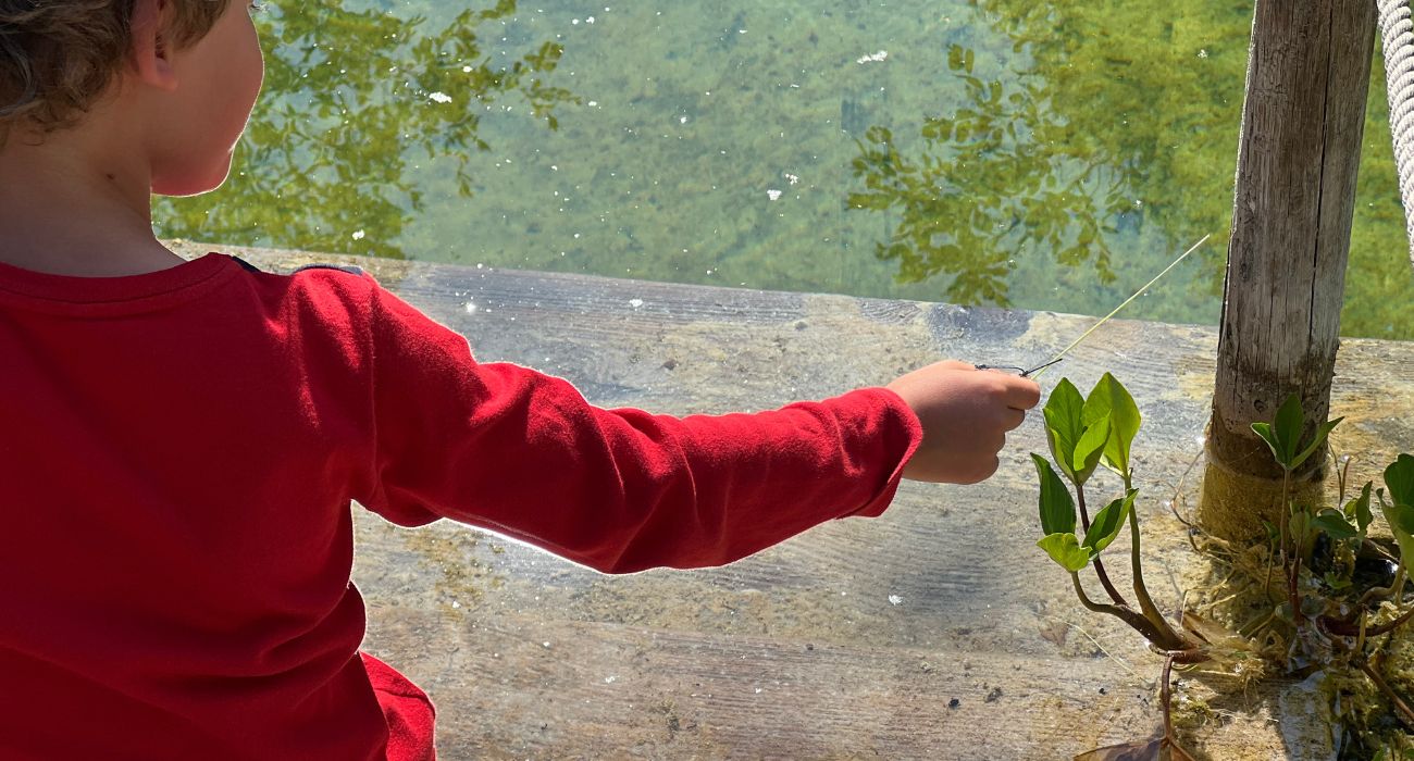 Enfant avec des libellules près de la piscine naturelle
