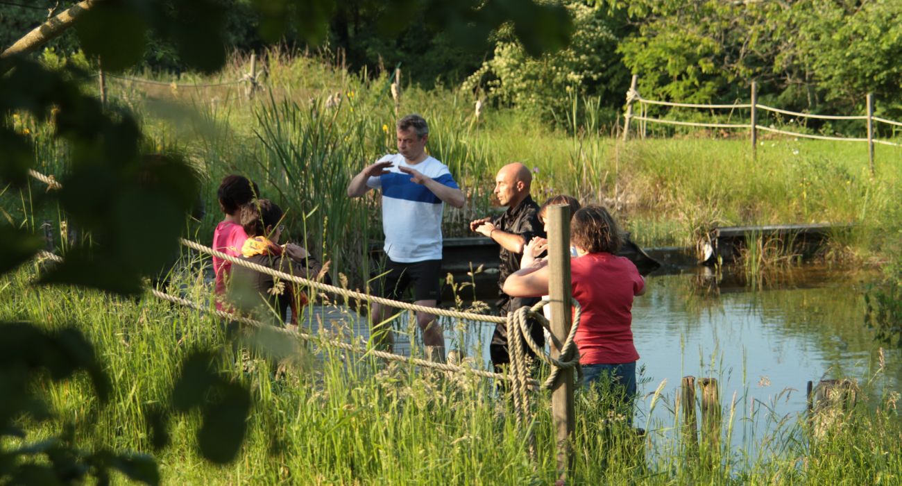 qi gong au bord de la piscine naturelle