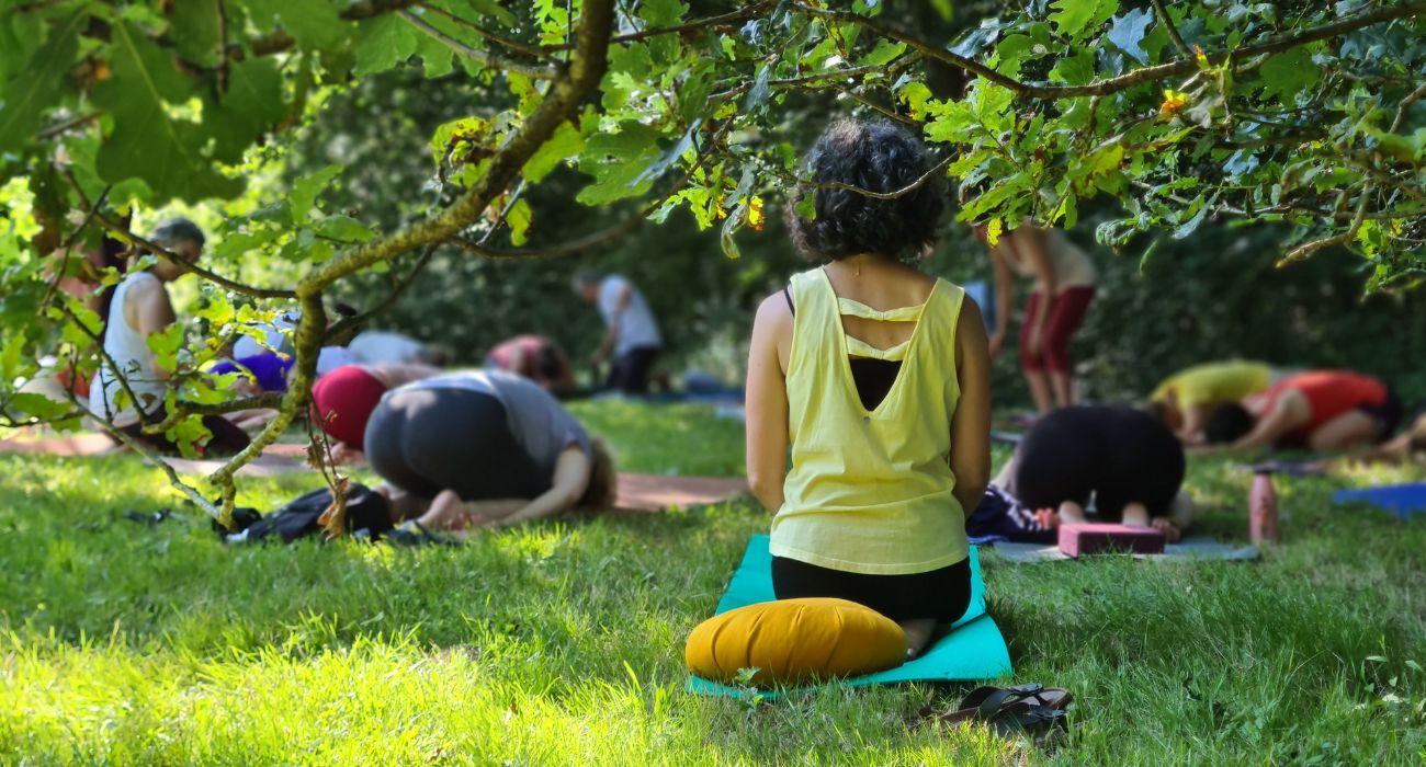 méditation & yoga sous les arbres